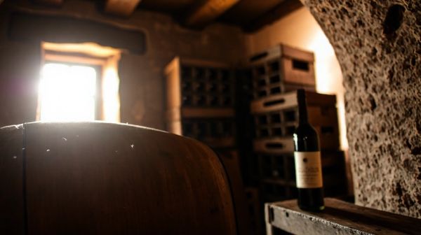 Découvrez les véritables frais entre le vigneron et votre verre